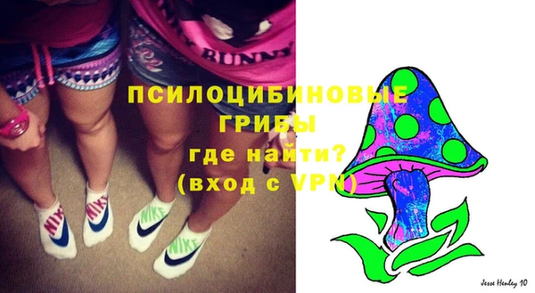 крисы Михайлов