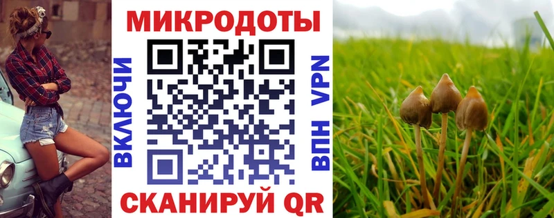 закладки  Вилючинск  Псилоцибиновые грибы GOLDEN TEACHER 